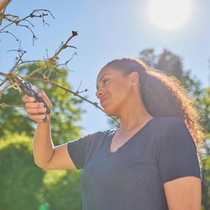 Produktbild für Gartenschere Gardena PremiumCut, 12240-20, Amboss