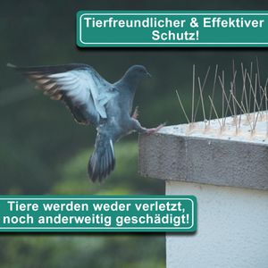 Produktbild für Vogelabwehr PRIOstahl Taubenspikes, 5 Meter
