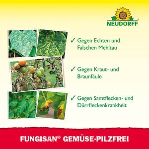 Produktbild für Fungizid Neudorff Fungisan Gemüse-Pilzfrei, anwendungsfertig