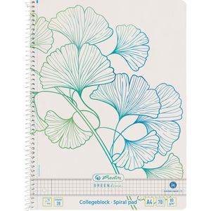 Produktbild für Collegeblock Herlitz GREENline Ginkgo, 300006029, A4