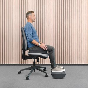 Produktbild für Orthopädisches-Sitzkissen Fellowes Breyta, 100119850, schwarz