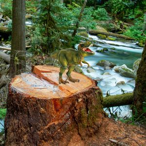 Produktbild für Spielfigur schleich DINOSAURS 14525, ab 4 Jahre