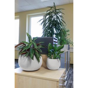 Produktbild für Übertopf Prosperplast Splofy Bowl, weiß, Ø 37 x 21 cm