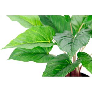 Produktbild für Kunstpflanze I.GE.A. Anthuriumblatt Pothos