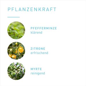 Produktbild für Raumduft Primavera 19510 Raumspray Bio
