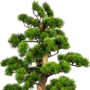 Produktbild für Kunstpflanze Creativ-green Bonsai Kiefer