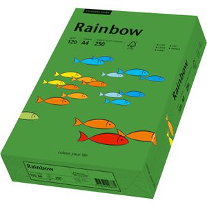 Produktbild für Kopierpapier Papyrus Rainbow 88042678