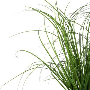 Produktbild für Kunstpflanze Creativ-green Grasbusch