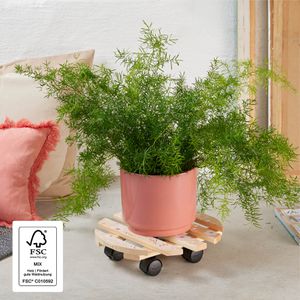 Produktbild für Pflanzenroller Wagner-System Your Style GH 0642, für innen