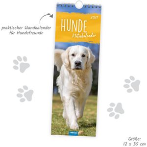Produktbild für Streifenkalender Trötsch 2027805, Hunde