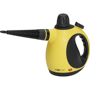 Dampfreiniger