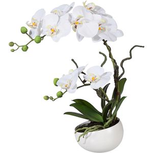 Kunstblume Creativ-green Orchidee, Phalaenopsis