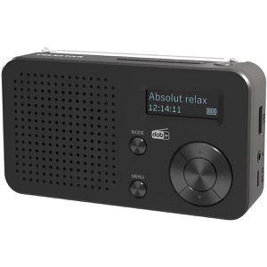 Produktbild für Radio Telestar Top 100 DAB+
