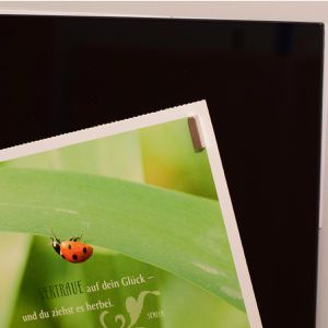 Produktbild für Magnete Maul 61690, silber, Neodym Magnet