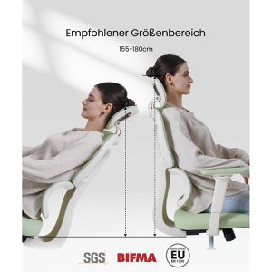 Produktbild für Bürostuhl FlexiSpot BS5LG