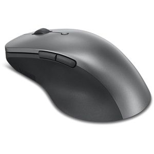 Maus
