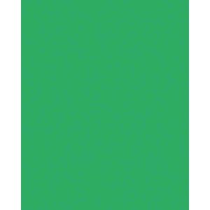 Produktbild für Tonpapier Folia 6118/3/56, A3