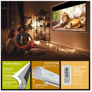 Produktbild für Beamer-Leinwand ESMART Economy EXM Motor