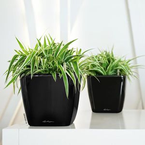 Produktbild für Übertopf Lechuza QUADRO LS 21, schwarz hochglanz, 23x21x23cm