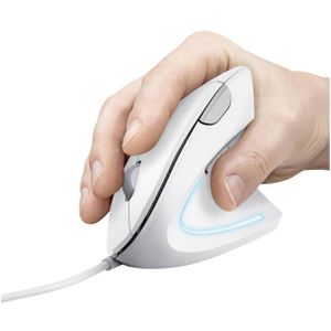 Produktbild für Maus Trust Verto Ergo White Wired 25133