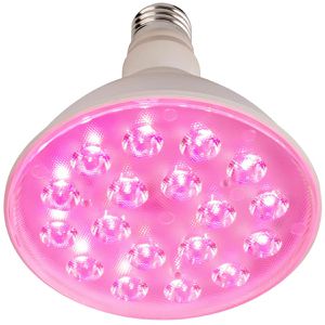 Pflanzenlampe