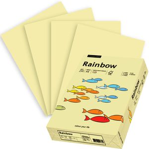 Produktbild für Kopierpapier Papyrus Rainbow 88376505