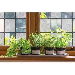 Produktbild für Fensterfolie d-c-fix Reispapier, selbstklebend