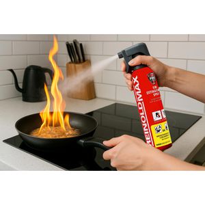 Produktbild für Feuerlöschspray ReinoldMax