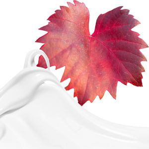 Produktbild für Hautcreme Elina-med Pflegend Rotes Weinlaub