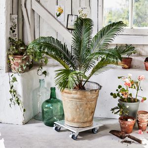 Produktbild für Pflanzenroller Wagner-System ALASKA GH 7004,bis 150kg, 28x28cm