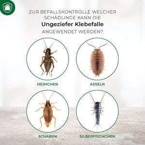 Produktbild für Klebefalle Protect-Home Ungeziefer, giftfrei