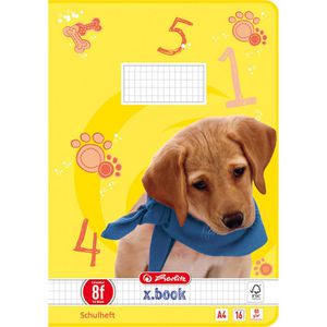 Produktbild für Schulheft Herlitz 11322393 x-book, ab 1. Klasse, A4