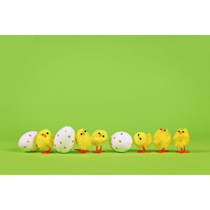 Produktbild für Osterdeko Rayher 8737400, gelb, 6 Stück