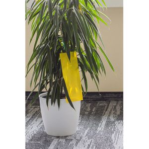 Produktbild für Gelbtafeln Compo Bio 1733302004, 10 x 22 cm, zum Hängen
