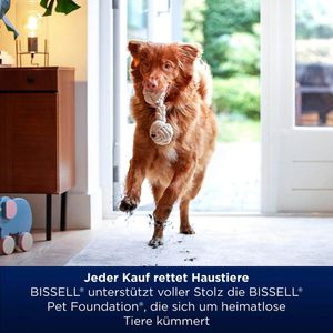 Produktbild für Teppichreiniger Bissell Spot &amp; Stain Pro Oxy