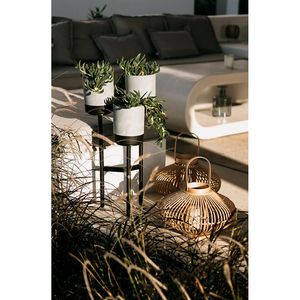 Produktbild für Blumenständer Prosperplast Bloomie, schwarz/weiß