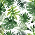 Servietten Papstar 86705 Monstera 33 x 33 cm, 1/4-Falz, 3-lagig, 20 Stück