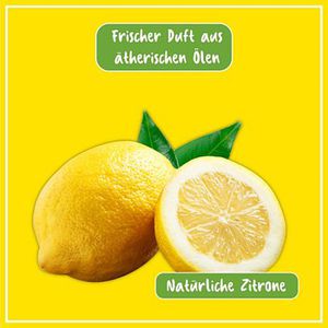 Produktbild für Badreiniger Poliboy Bio, mit Bio-Zitronenöl
