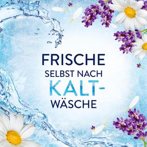 Produktbild für Weichspüler Lenor Tag in der Provence