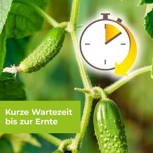 Produktbild für Fungizid Protect-Garden Alitis Spezial-Pilzfrei, Konzentrat