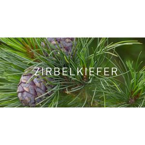 Produktbild für Duftöl Primavera Zirbelkiefer bio