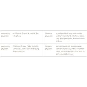 Produktbild für Duftöl Primavera Lemongrass bio