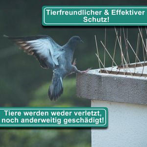 Produktbild für Vogelabwehr PRIOstahl Taubenspikes, 5 Meter