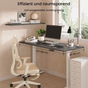 Produktbild für Schreibtisch FlexiSpot E1B Pro, weiß / schwarz