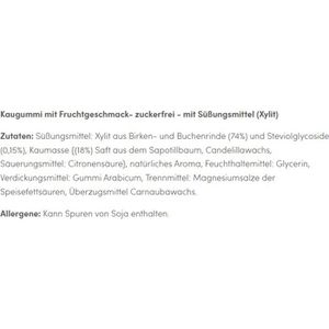 Produktbild für Kaugummis Birkengold Natur, Frucht