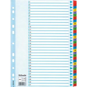 Register Esselte 100164, Mylar, A4, 1-31