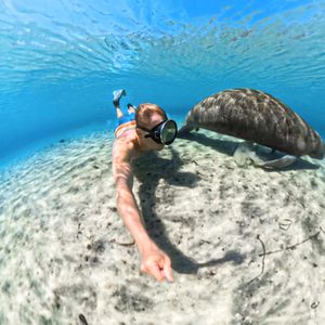 Produktbild für Action-Cam-Schutzhülle Insta360 X5 Invisible Dive Case