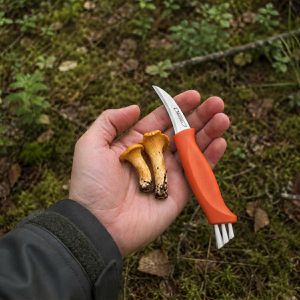 Produktbild für Pilzmesser Marttiini Ruska, Klinge feststehend, mit Bürste