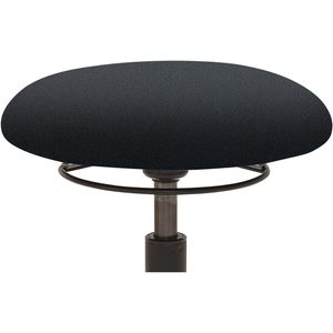 Produktbild für Fitness-Hocker Mayer myMOBILIS, 1166 30317