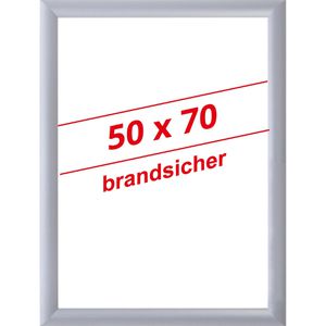 Klapprahmen Böttcher-AG Brandschutz, 25 mm Profil, DIN B2